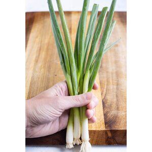 500 green onion seeds, scallions, spring onion, bunch onion 小葱种子